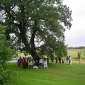 Intorno alla quercia